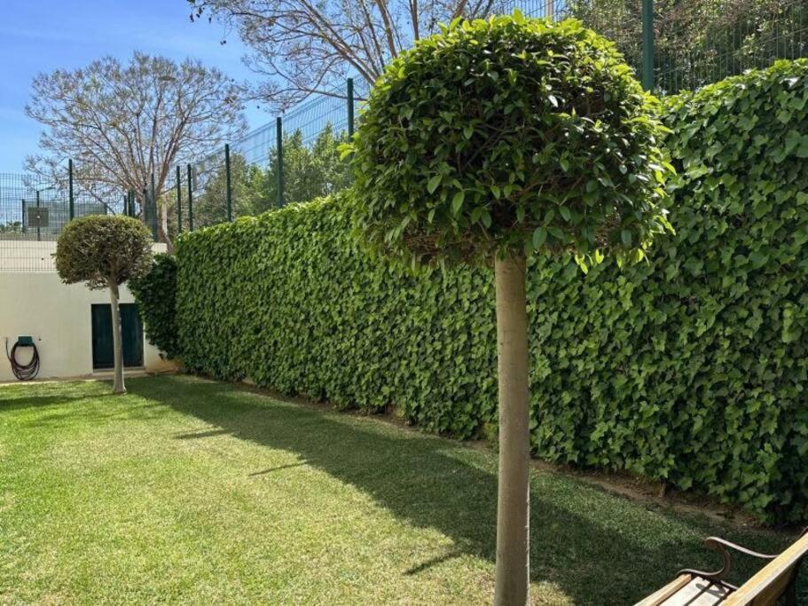 Three Bedroom Apartment, Prime Javea Location Екстер'єр фото